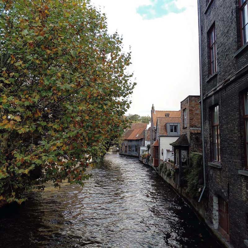 brujas_belfort 5